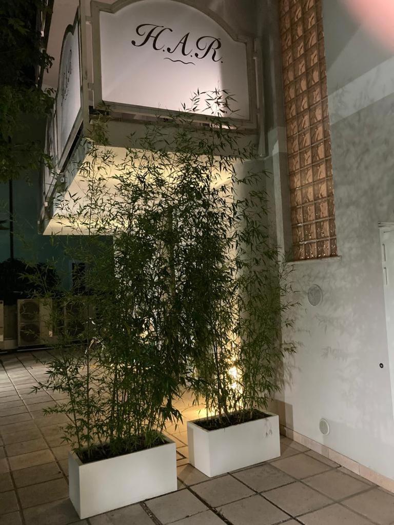 Acqua & Sale Hotel